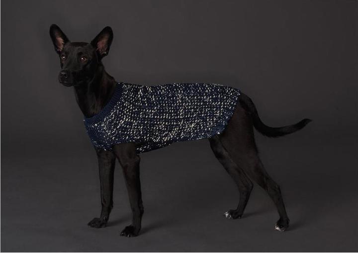 Image du produit Hunter Pull pour chien Finja (40, Pull-over pour chien)