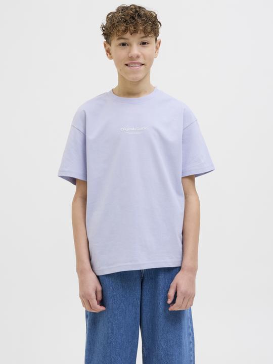Actual product image Jack & Jones Jorvesterbro Tee Ss Crew Neck Noos Jnr (152)