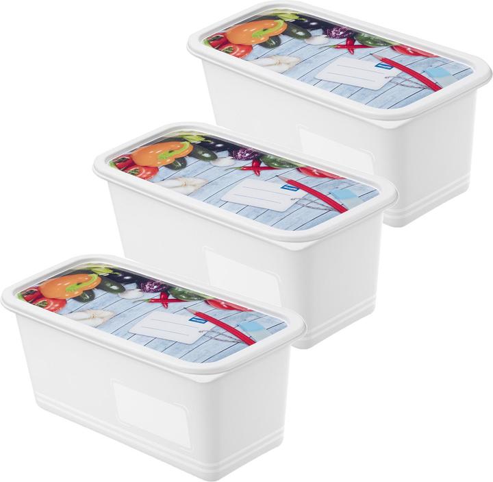 Actual product image Rotho Freezing box (1.50 l)