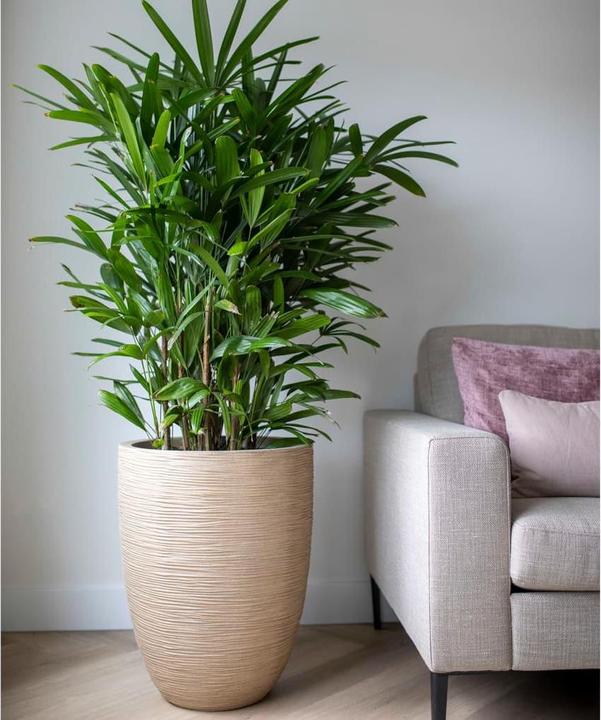 Produktbild Capi Wylder (34 x 46 cm)