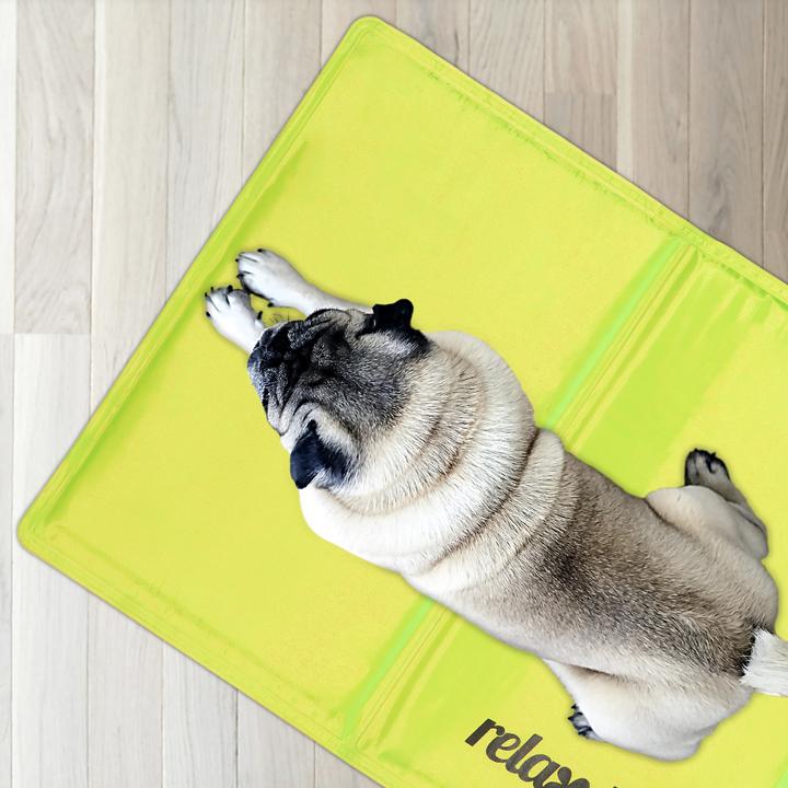 Actual product image Relaxdays Cooling mat dog (Dog)