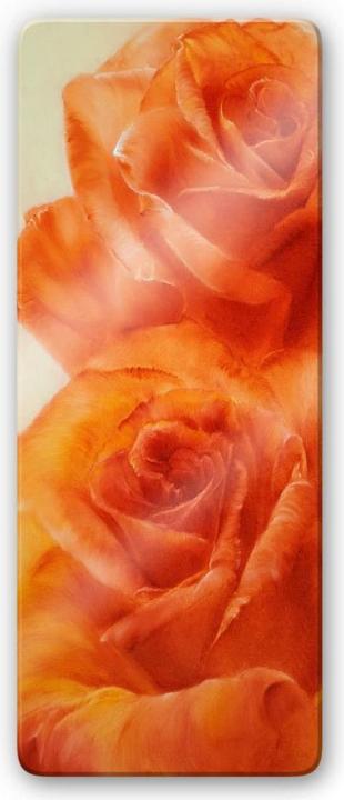 Immagine prodotto Trenddeko rose (40 x 100 cm)