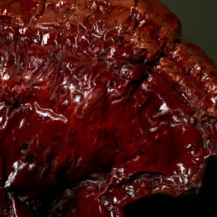 Actual product image Babor DOCTOR MICROBIOMIC Stress Defense Mushroom Cream (50 ml, 24h cream)