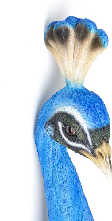 Produktbild Kare Design Wandschmuck Peacock (22 x 68 cm)