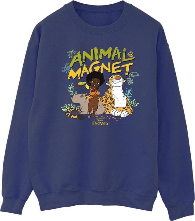 Produktbild Disney Encanto Animal Magnet Sweatshirt (S)