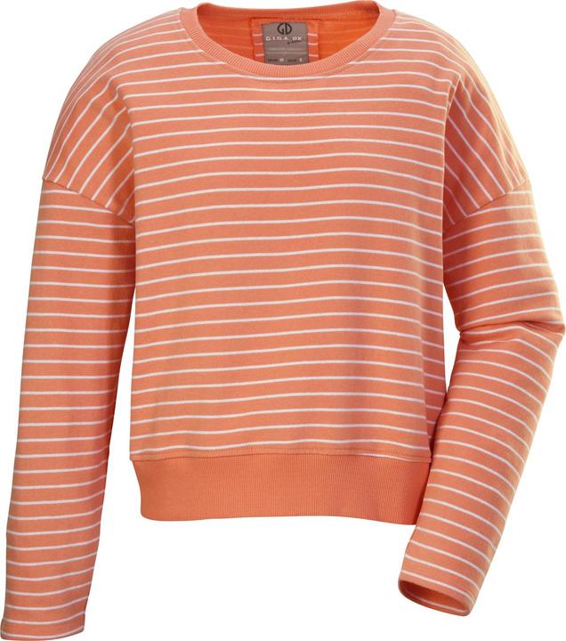 Produktbild G.I.G.A DX GS 23 (36)