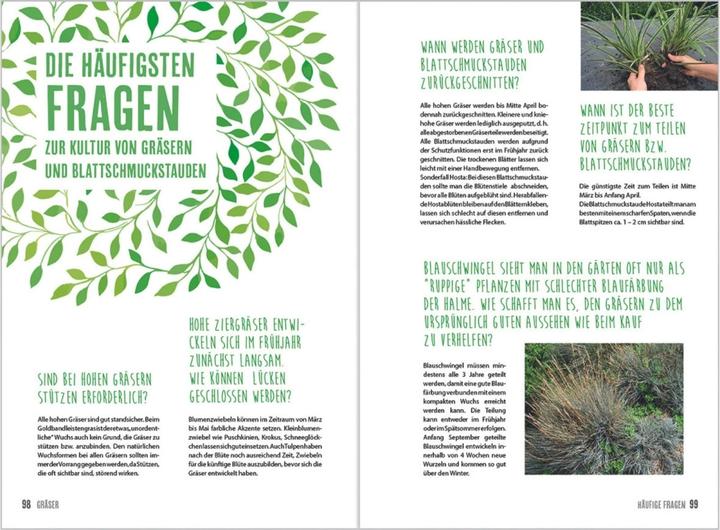 Produktbild MDR Garten - Gräser (Deutsch, Horst Schöne, 2018)