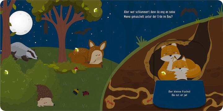 Produktbild Mein kleines Klappenbuch – Im Wald (Deutsch)