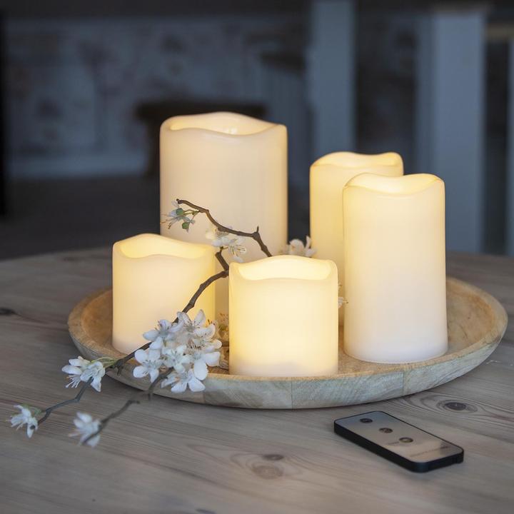 Produktbild Star Trading Paul (5 x)