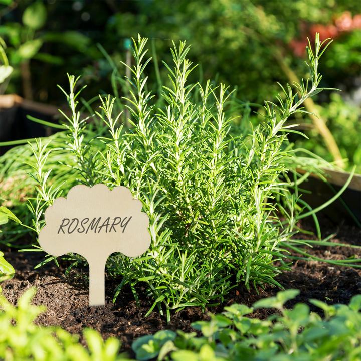 Produktbild Relaxdays Backform