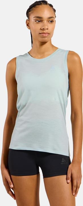 Actual product image Odlo MERINO 160 (M)