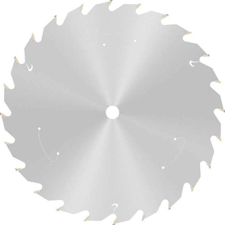 Productafbeelding Bosch Professional Zubehör Cirkelzaagblad Standaard voor hout, 165x1,5/1x10, 24 tanden