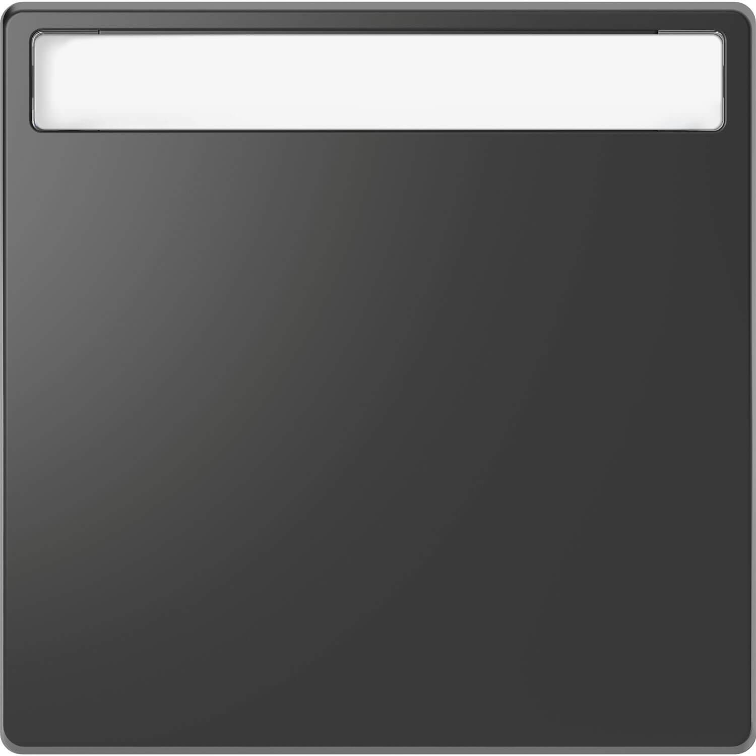 Merten, Zubehör Schalterprogramm, Wippe mit Schriftfeld, Anthrazit, System MEG3360-6034