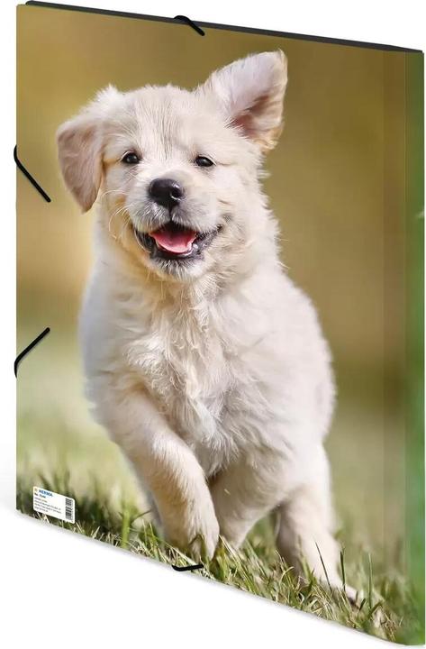 Actual product image HERMA A3 motif folder (A3, 1 x)