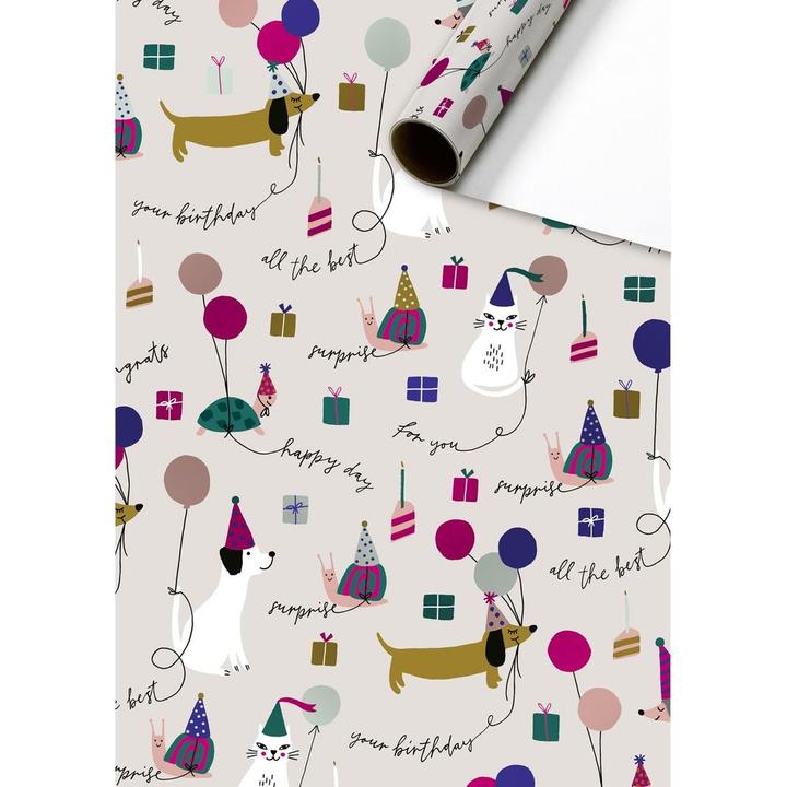 Image du produit Stewo Papier cadeau Murphy (1x)