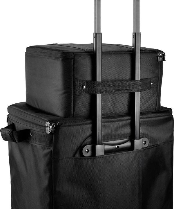 Actual product image LD Systems DAVE 10 G4X BAG SET - Transport Set for DAVE 10 G4X