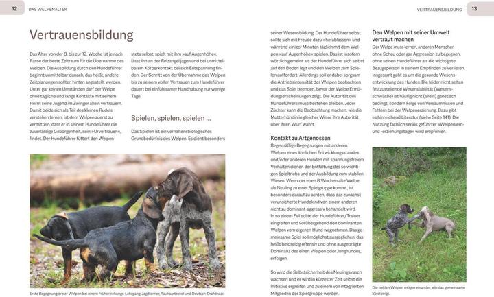 Produktbild Der Jagdgebrauchshund-Jährling (Deutsch, Uwe Tabel, 2023)