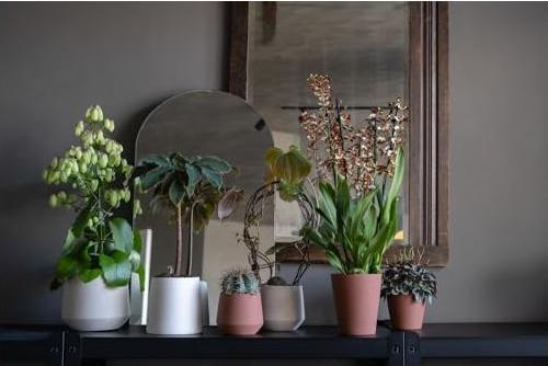 Produktbild Pottery Pots Julia S (13 x 13 cm)