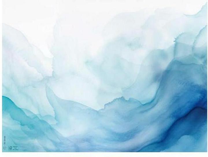 Image du produit PROnappe Tischset (40 x 30 cm)