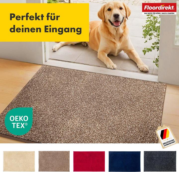 Image du produit Floordirekt Schmutzfangmatte Nasa (86 x 150 cm)