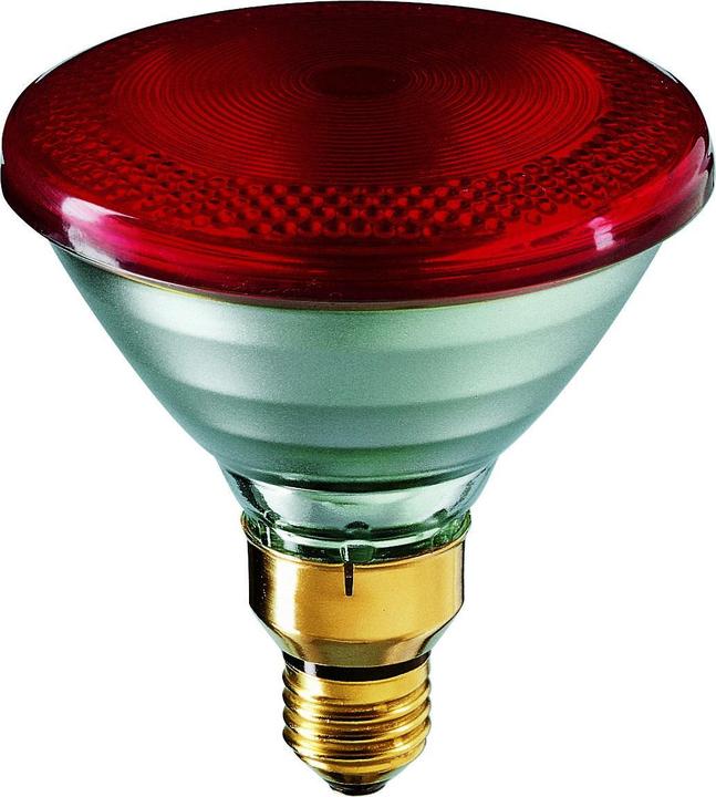 Philips Chauffage infrarouge PAR38 IR 230V 150W E27 (871150012887415) (150 W)