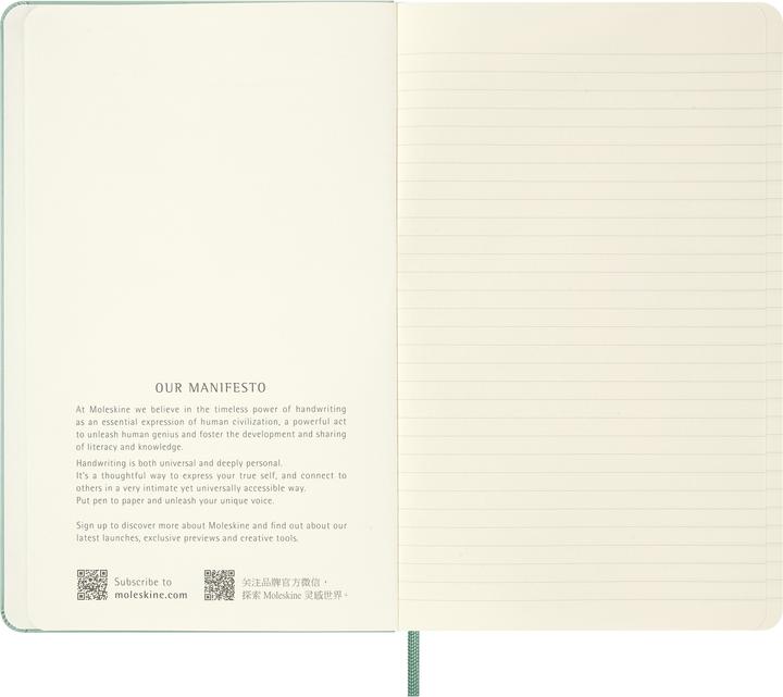 Image du produit Moleskine Notizbuch L/A5, liniert, Salbeigrün (A5, À rayures, Couverture rigide)
