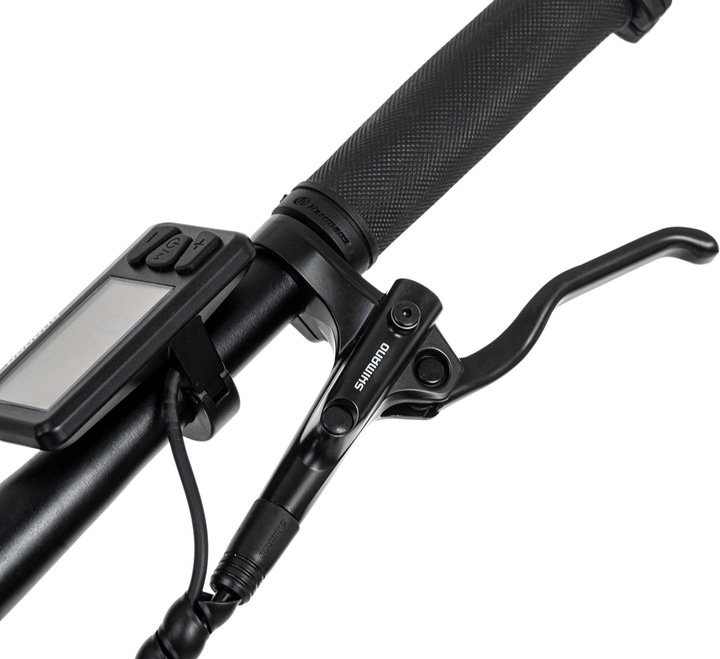 Image du produit Adore Xpose (51 cm)