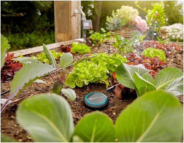 Immagine prodotto Gardena Sensore di umidità del suolo (Sensore di irrigazione)