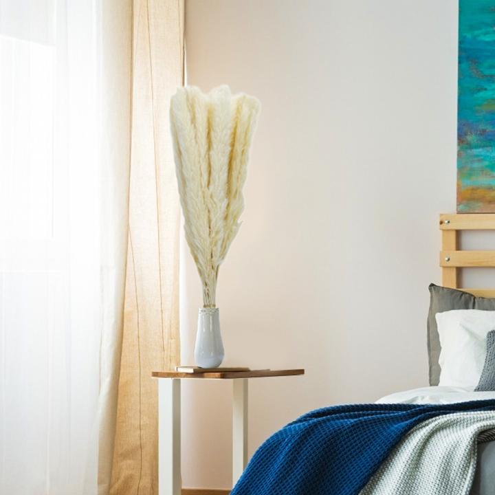 Actual product image Intirilife Pampas grass 30 pieces (5 cm)