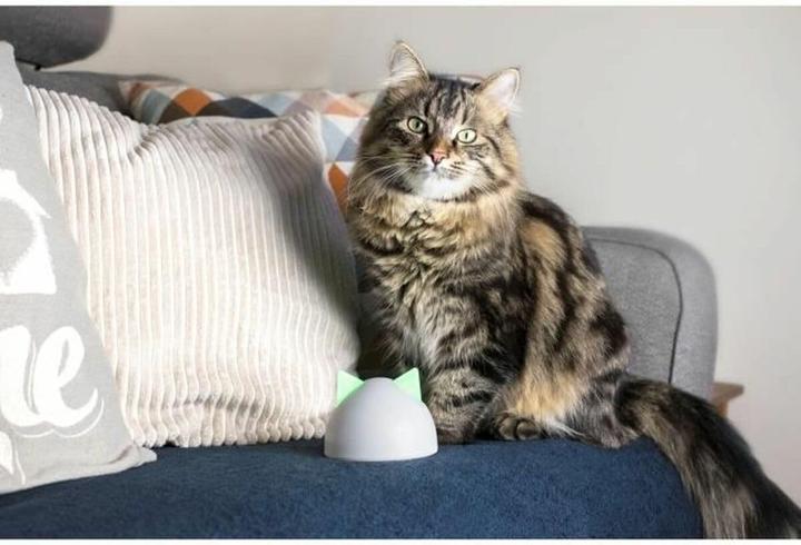 Actual product image SureFlap Connect Hub