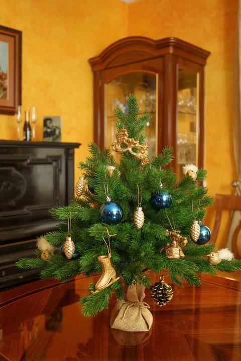 Produktbild Eve Xmas Tannenbaum (65 cm)