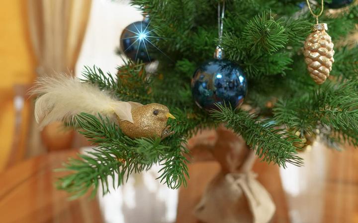 Produktbild Eve Xmas Tannenbaum (65 cm)