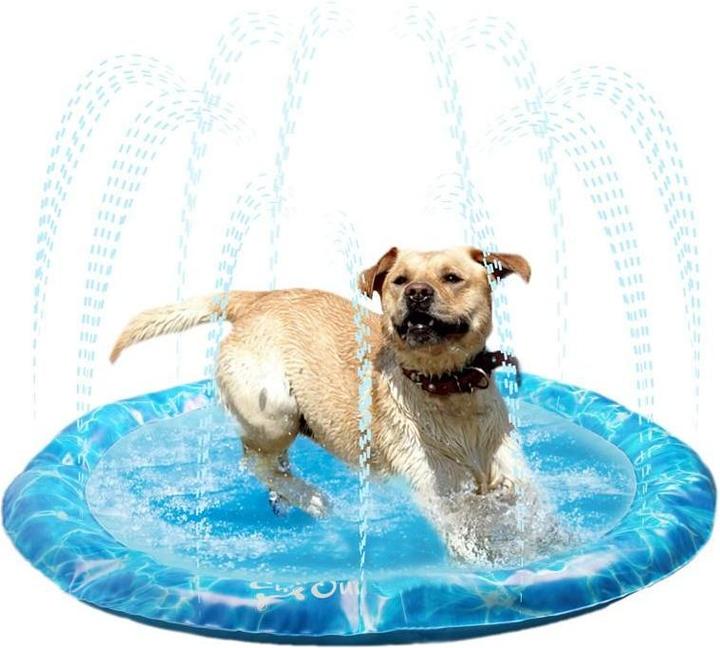 Actual product image All for Paws Sprinkler Fun (Dog pool)