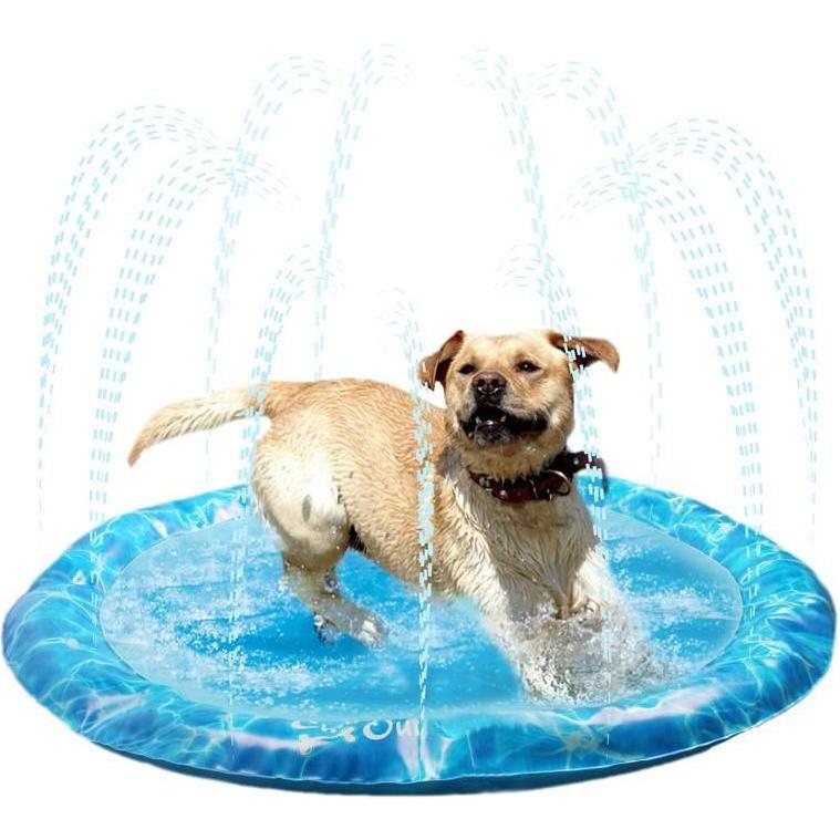 All for Paws Sprinkler Fun (Piscine pour chiens), Jouets pour chien