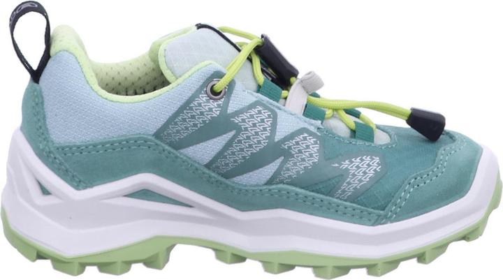 Produktbild Lowa Maddox Pro GTX LO (31)