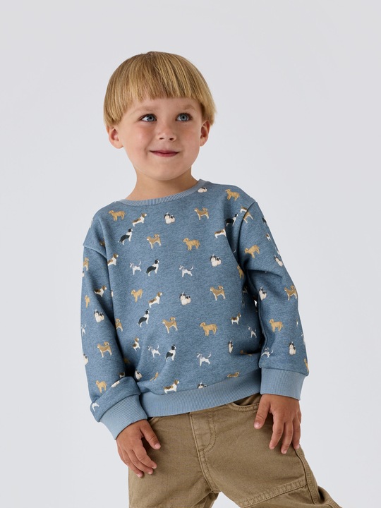 Produktbild Name it Regular Fit Sweatshirt (104)