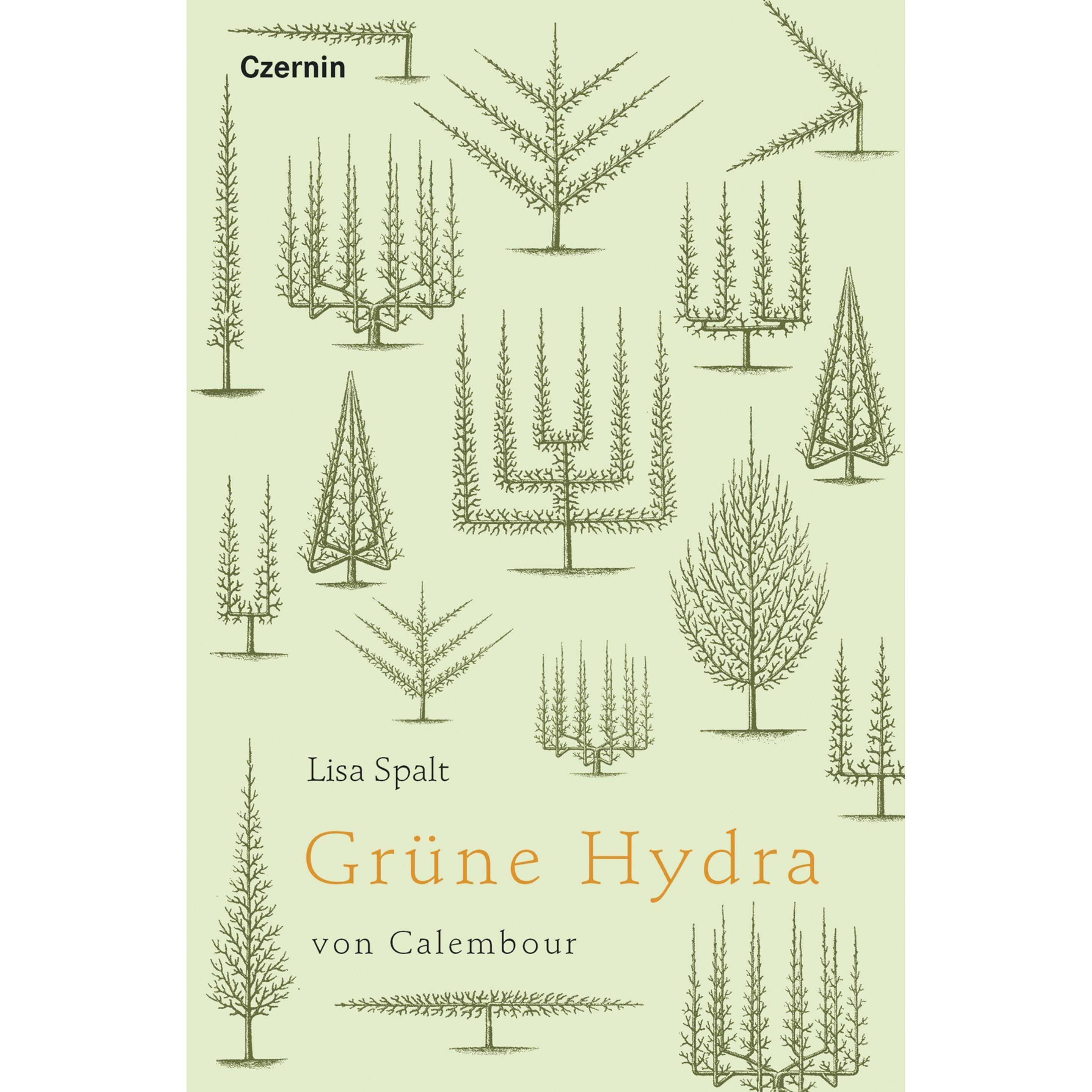 Thumbnail - Gru¨ne Hydra von Calembour, Belletristik von Lisa Spalt