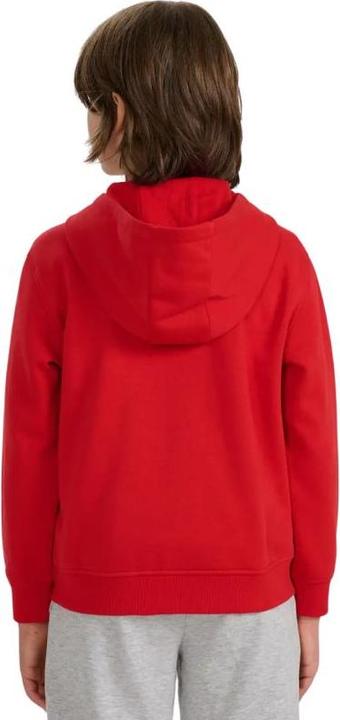 Produktbild 4F Junior-Sweatshirt (164)