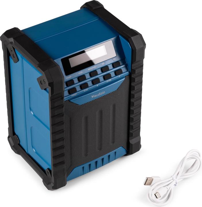 Produktbild Audizio Temi (DAB+, FM, Bluetooth)