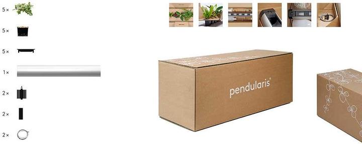 Immagine prodotto Pendularis Imposta 0,5 Rapido (50 cm)