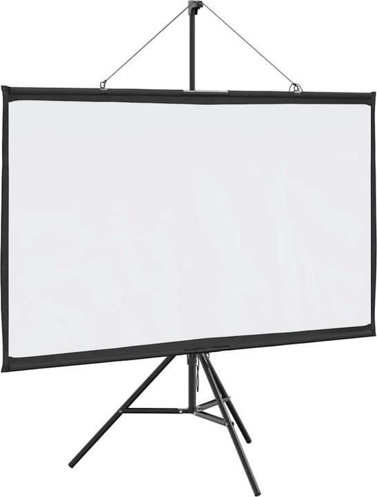 Actual product image vidaXL Projektionsleinwand (50", 16:9)