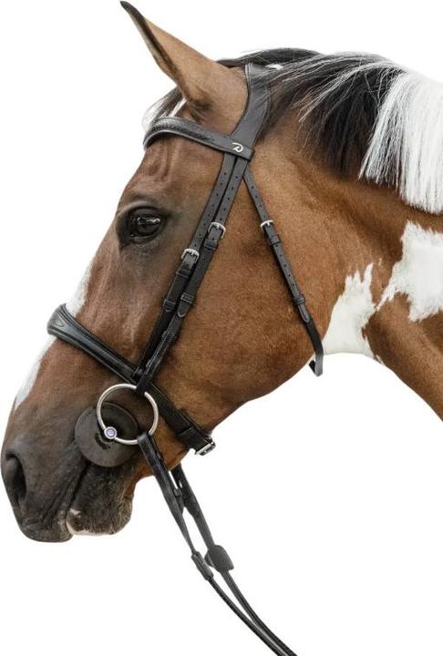 Image du produit Dy'on Muserolle cheval sans sous barbe anatomique
