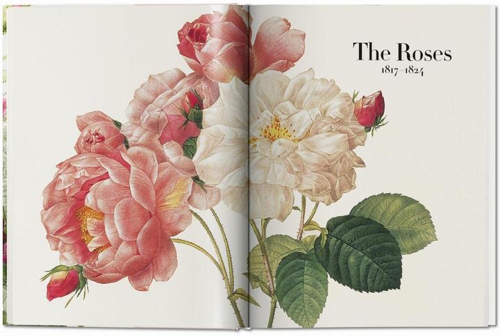 Produktbild Redouté. The Book of Flowers (Deutsch, H. Walter Lack, 2017)