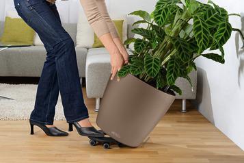 Image du produit Lechuza Classico Color 60 (60 cm)