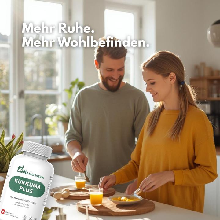 Produktbild Naturfabrik Kurkuma Plus Kapseln 100 Stück (100 Stück, Kapseln)