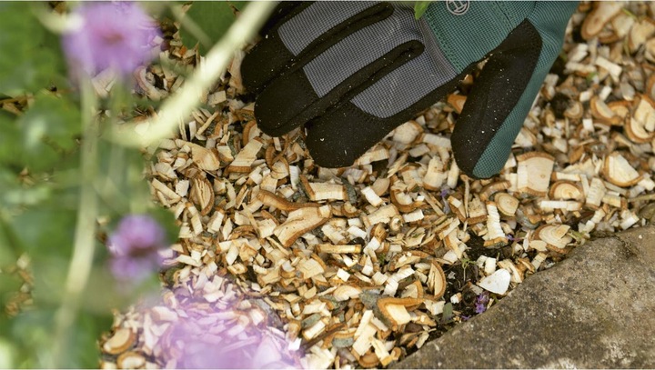 Actual product image Bosch Home & Garden AXT Rapid 2200