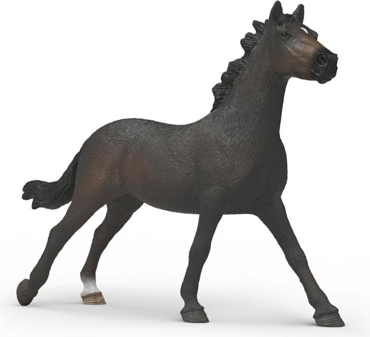 Braun, multicolour, Schwarz