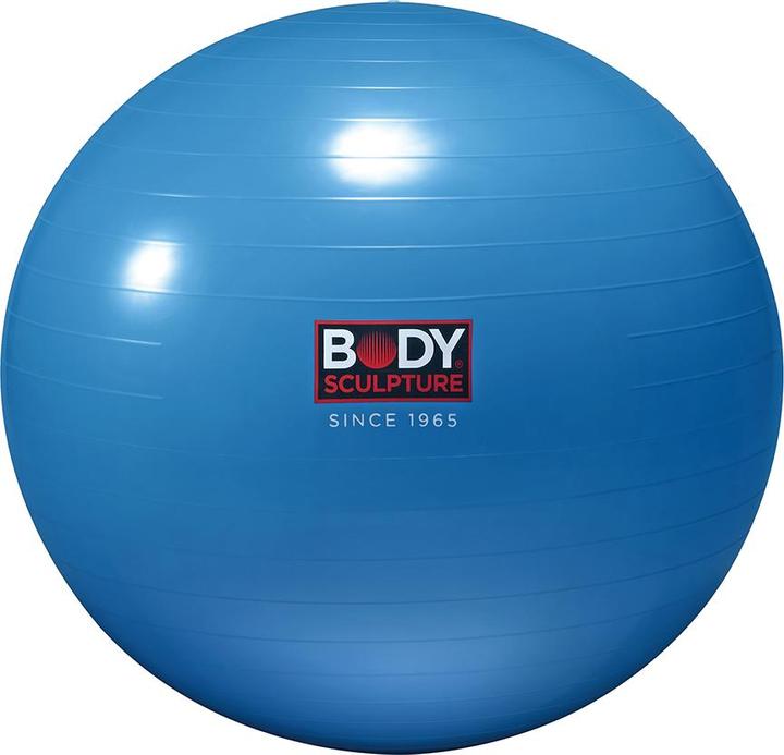 Body Sculpture Gym (65 cm)