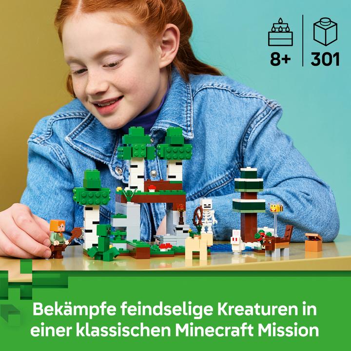 Produktbild LEGO Erstes Abenteuer in der Nacht (21593, LEGO Minecraft)