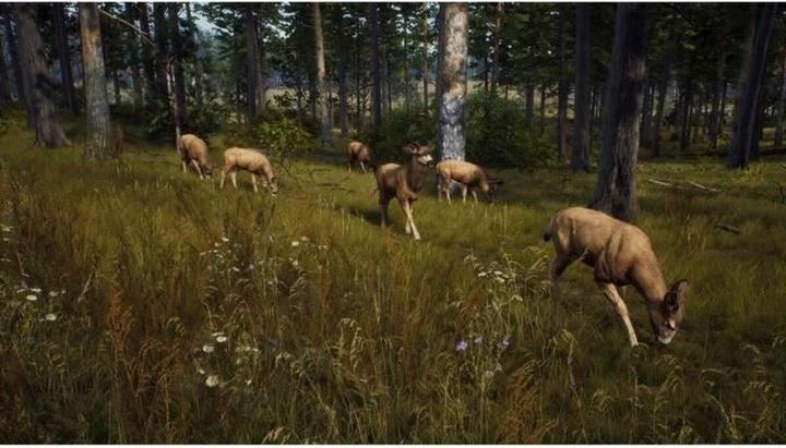 Actual product image THQ Way of the Hunter - Wild Expeditions (Xbox Series X, FR)